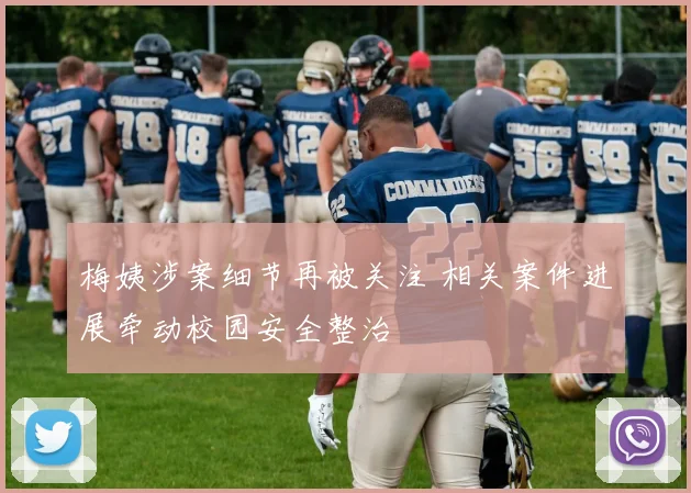 梅姨涉案细节再被关注 相关案件进展牵动校园安全整治