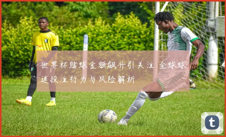 世界杯赌球金额飙升引关注 全球球迷投注行为与风险解析