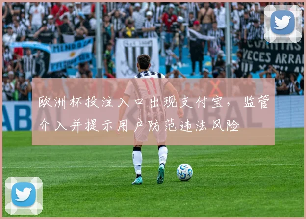 欧洲杯投注入口出现支付宝，监管介入并提示用户防范违法风险