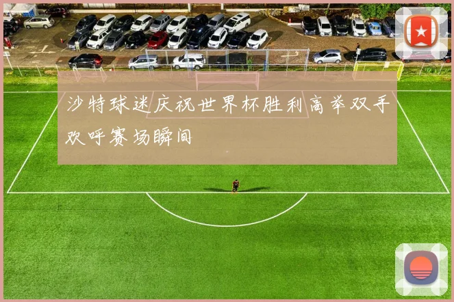 沙特球迷庆祝世界杯胜利高举双手欢呼赛场瞬间