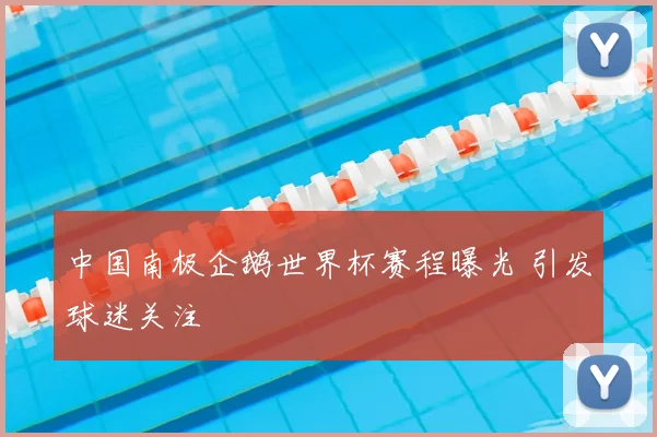 中国南极企鹅世界杯赛程曝光 引发球迷关注