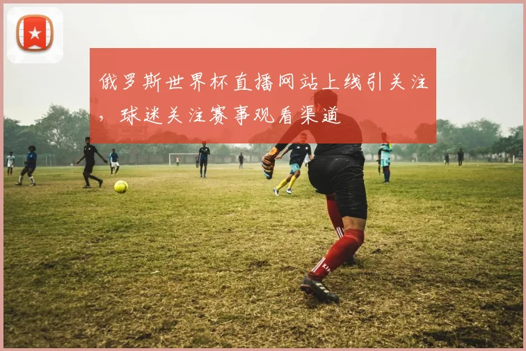 俄罗斯世界杯直播网站上线引关注,球迷关注赛事观看渠道