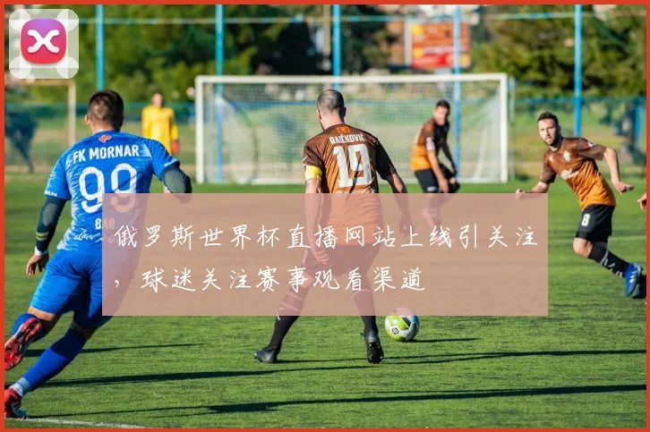 俄罗斯世界杯直播网站上线引关注,球迷关注赛事观看渠道