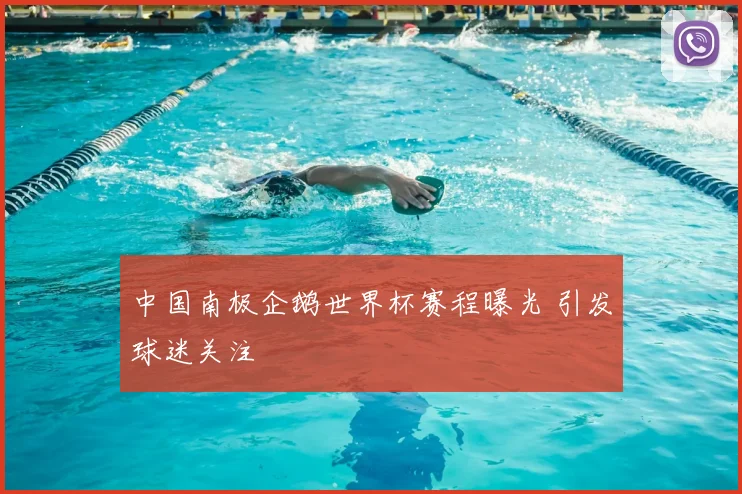 中国南极企鹅世界杯赛程曝光 引发球迷关注