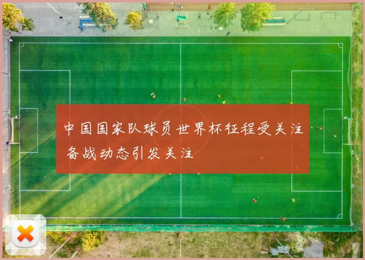 中国国家队球员世界杯征程受关注 备战动态引发关注