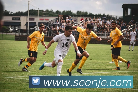 意昂体育官网登录发展历程